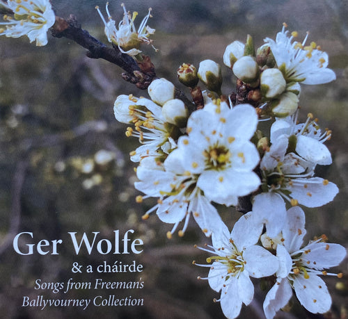 Songs from Freeman's Ballyvourney Collection: Ger Wolfe & a chairde
